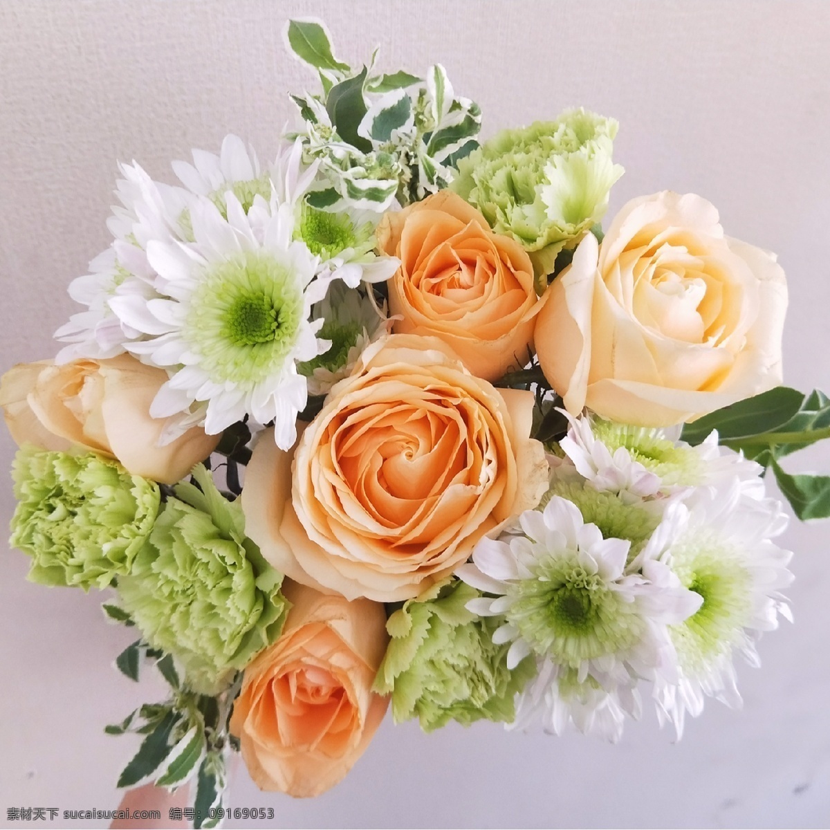小清新花束 玫瑰 香槟玫瑰 多头小菊 菊花 小雏菊 康乃馨 绿色康乃馨 枝叶