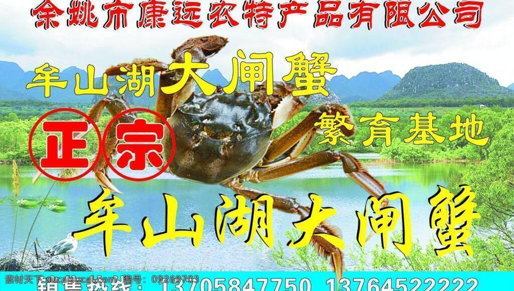 注 位图 不是 很 清晰 户外广告 大闸蟹 户外广告牌 展板模板 农 特产品 农特产品 矢量 矢量图