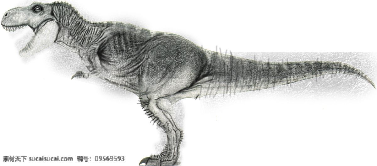 霸王龙 模型 tirarex 霸王龙模型 动物模型 古代生物 3d模型素材 动植物模型