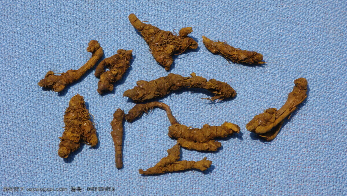 保健 餐饮美食 生活百科 生活素材 食物原料 养生 黄连 贵州特产 中医 药品 矢量图 日常生活