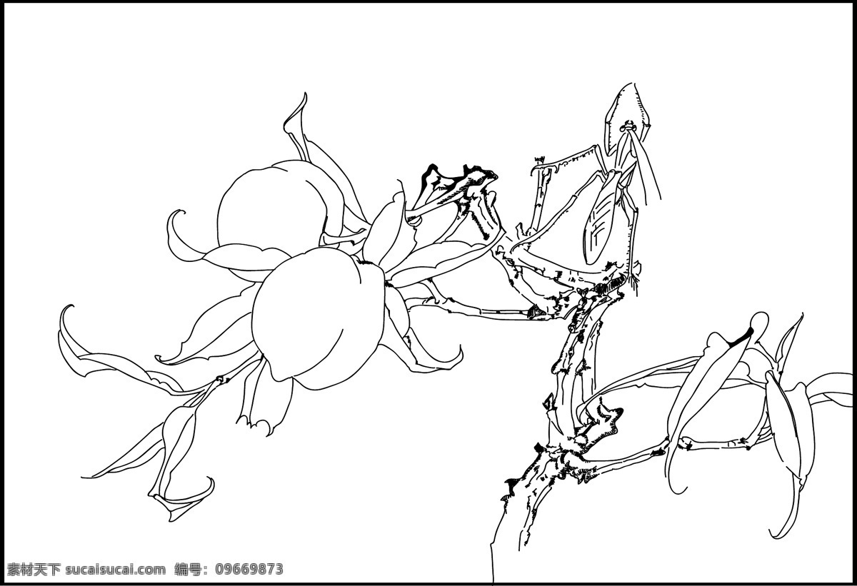 桃子 螳螂 黑白 花草 生物世界 矢量图库 水果 矢量 模板下载 桃子螳螂 线面 日常生活