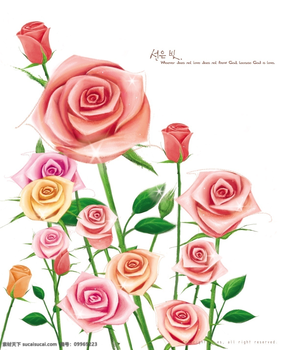 红色 玫瑰 花朵 近景 特写 分层 韩国素材 tua 唯美 插画 绘画 花卉 水彩 白色