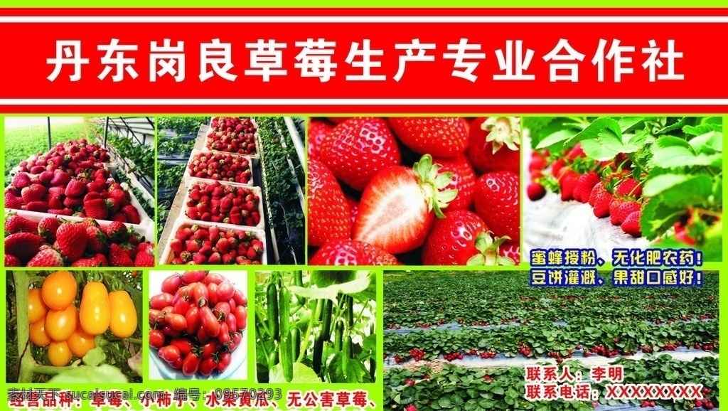 草莓展板 草莓海报 草莓宣传栏 草莓宣传海报 草莓