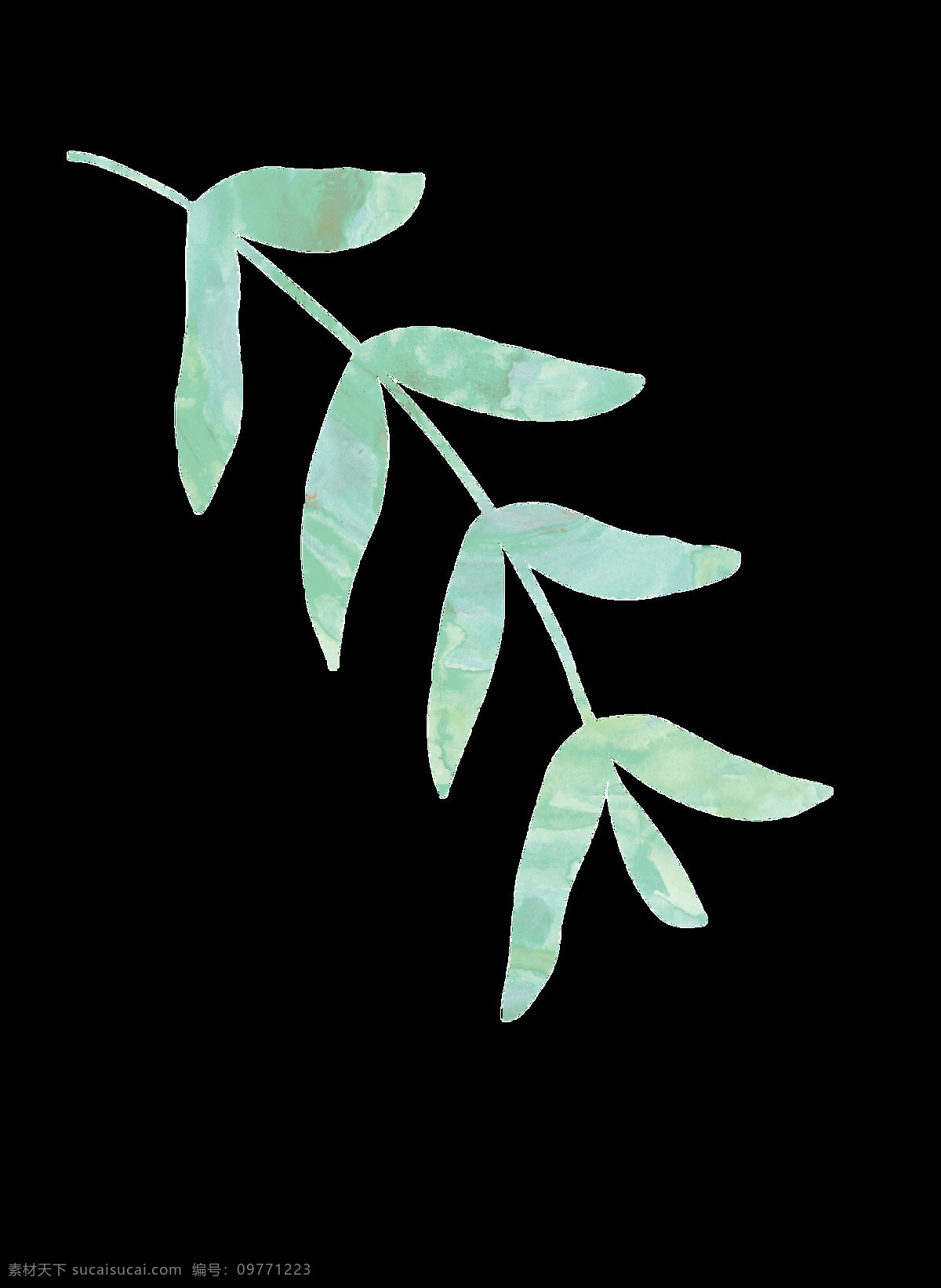 绿 纹 杨柳 卡通 透明 枝叶 绿色 透明素材 免扣素材 装饰图案