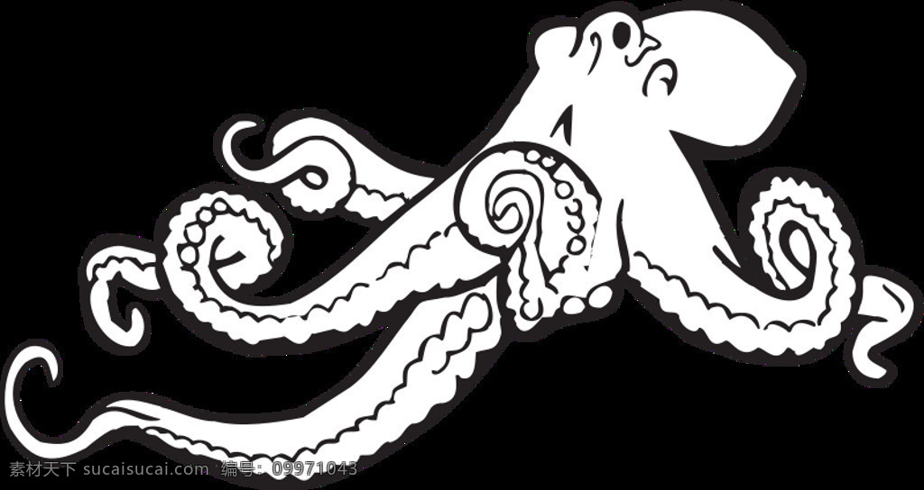 着色 书 章鱼 动物 海洋生物 轮廓 着色书 externalsource 线的艺术 插画集