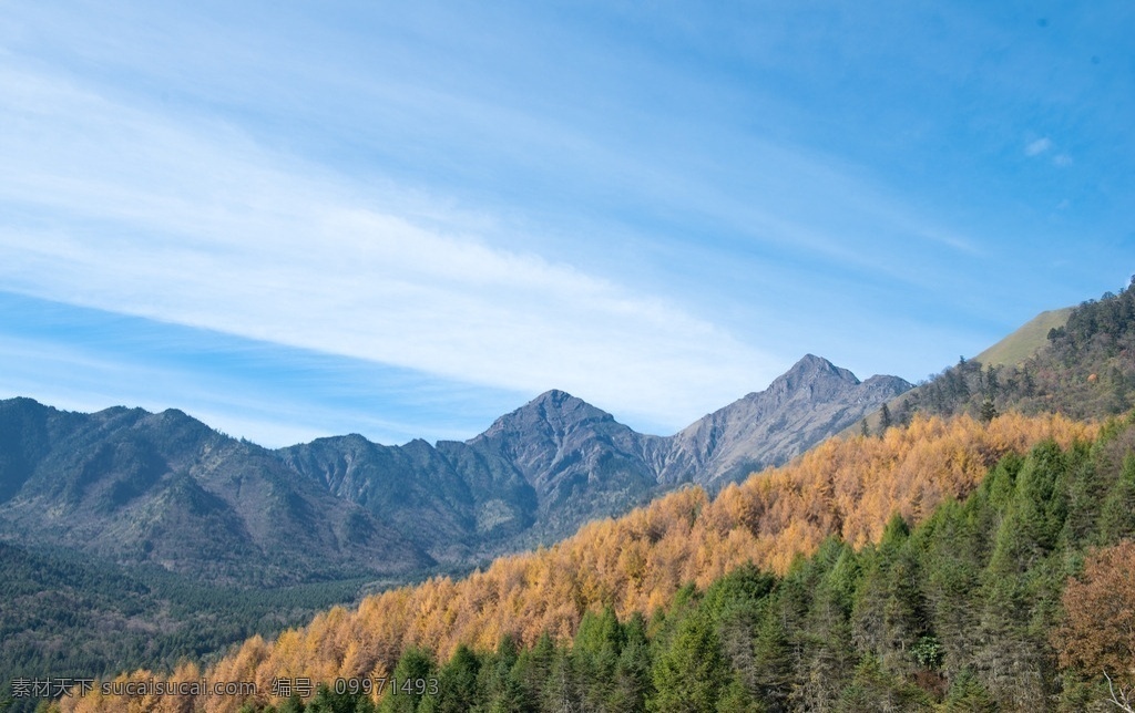 神木垒 风景 高原 阳光 彩林 红叶 照片 自然景观 山水风景