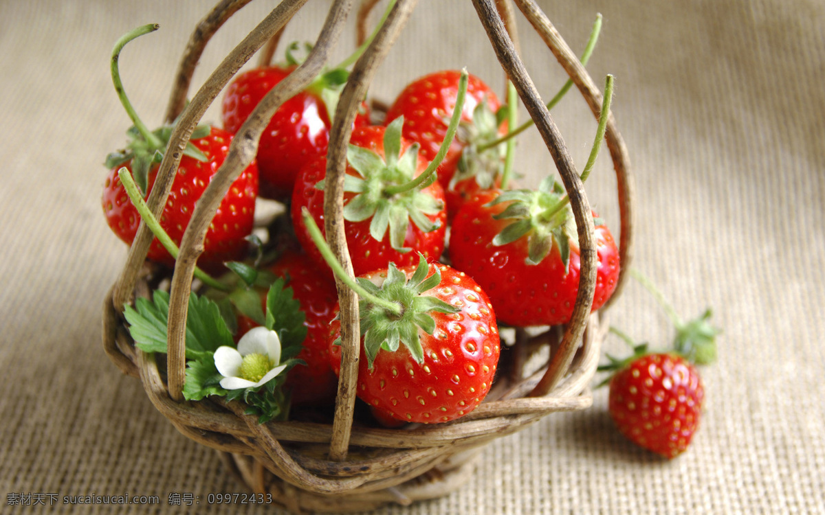 麻袋 草莓 新鲜 水果 甜美 草莓花 叶子