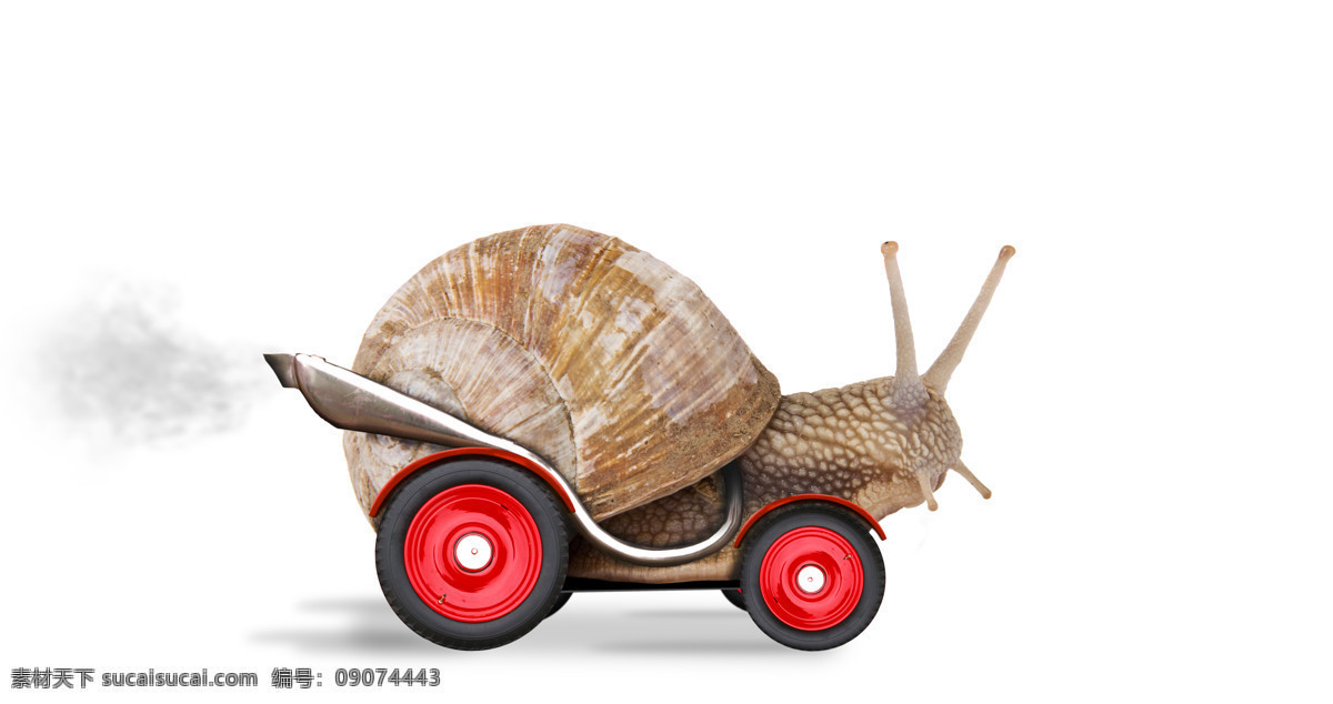 创意 蜗牛 摩托车 创意动物 车辆 烟筒 创意主题 其他类别 生活百科 白色