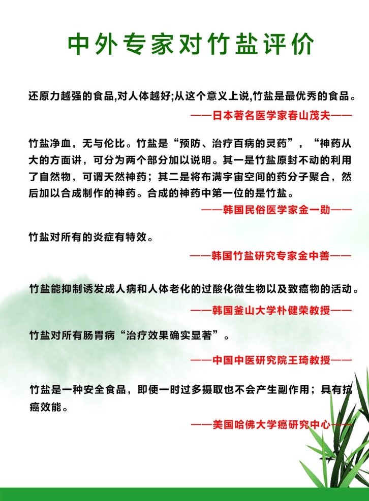 竹盐宣传 竹盐 宣传海报 清新 浅色底纹 竹子