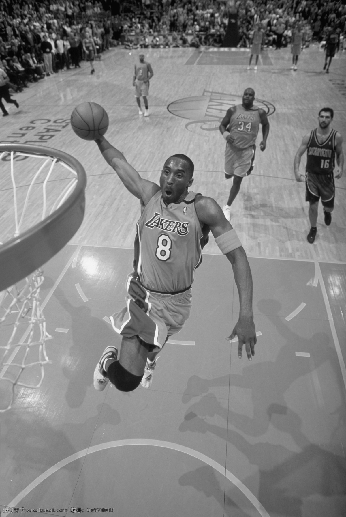 科比 nba 明星偶像 人物图库 湖人队
