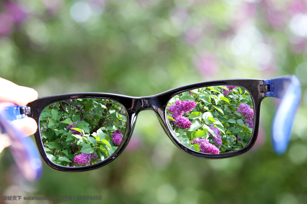 眼镜 后面 清晰 花朵 近视眼 模糊 风景 其他类别 生活百科