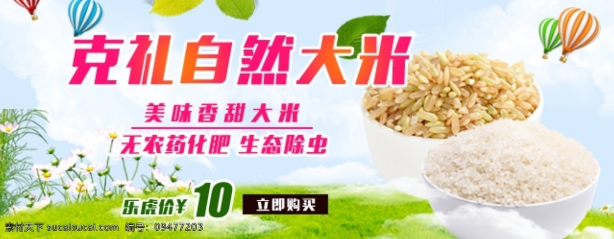 牡丹图 牡丹矢量图 牡丹 牡丹纹理 牡丹图片 牡丹ai 底纹背景 底纹边框 矢量