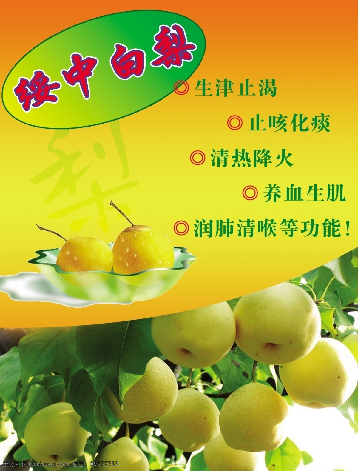 白梨 背景 光 花纹 亮光 星星 蓝底 渐变 绥中 树叶 绿叶 大白梨 分层 源文件