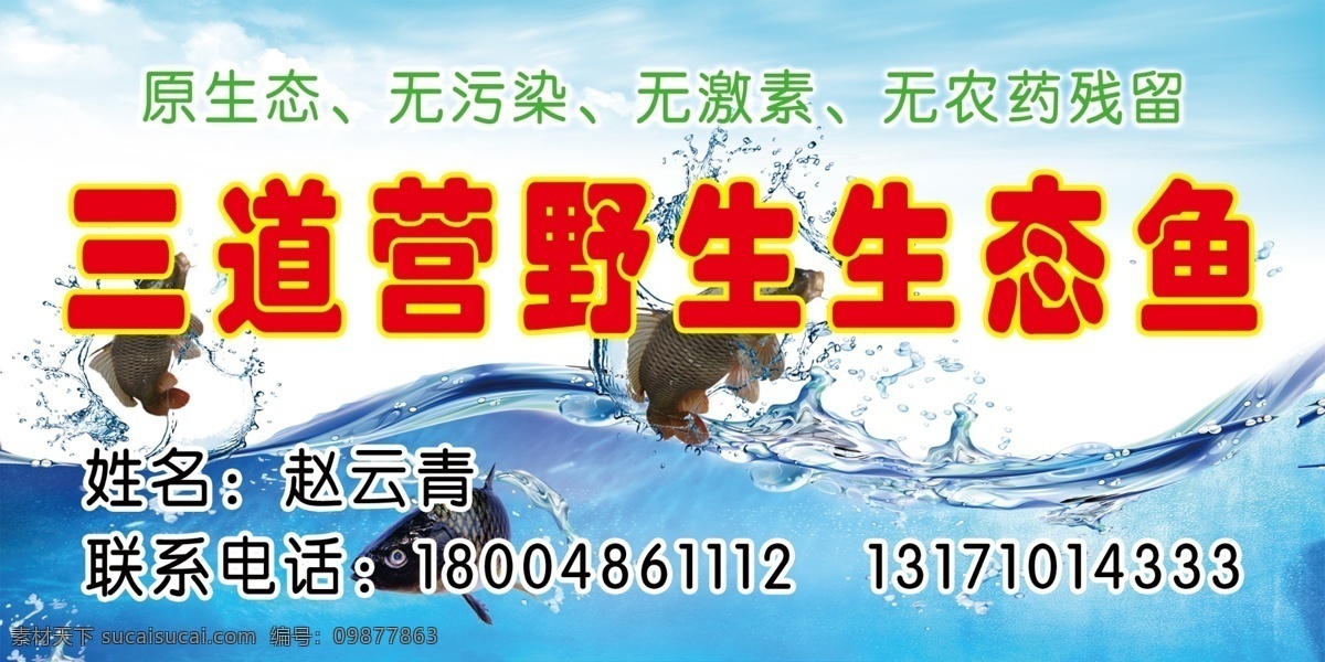 野生鱼 野生生态鱼 生态鱼 野生鱼鱼 鱼鱼 野生生态鱼鱼 文化艺术 节日庆祝