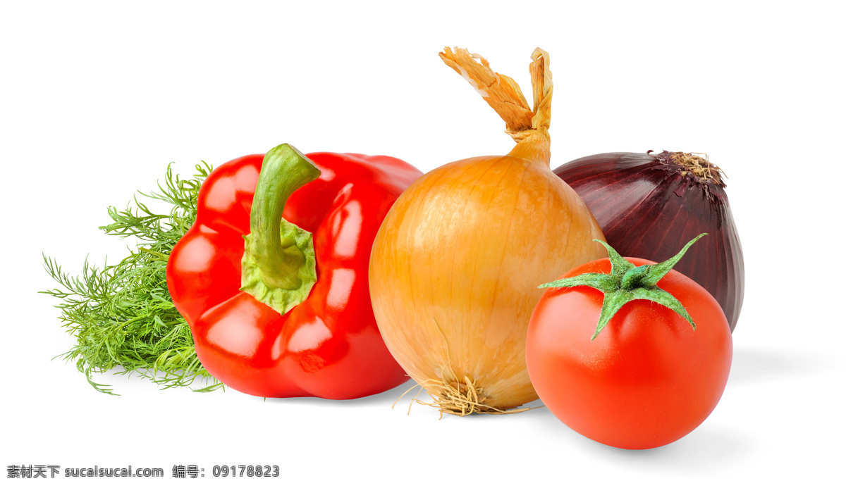 洋葱 番茄 辣椒 西红柿 新鲜蔬菜 新鲜辣椒 红辣椒 菜椒 蔬菜摄影 蔬菜图片 餐饮美食