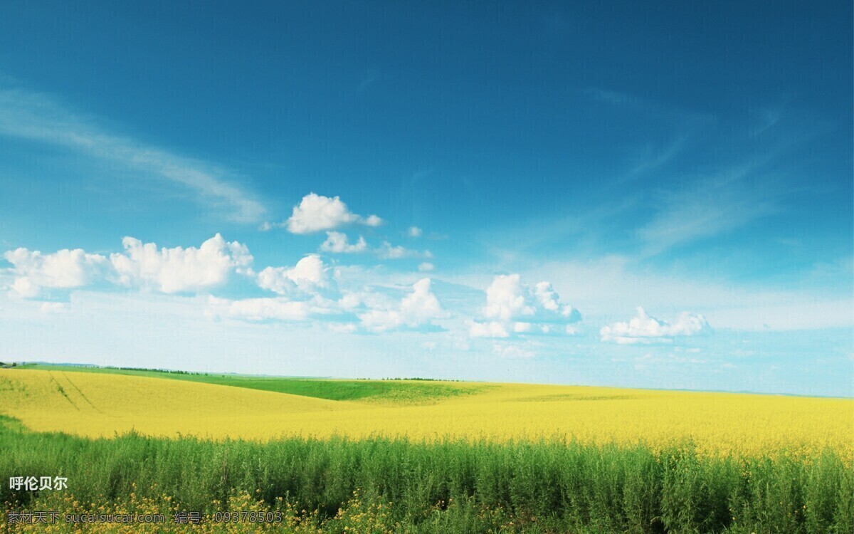 呼伦贝尔 风景摄影 电脑 壁纸 风景 背景 底图 蓝天 白云 自然风景 自然景观
