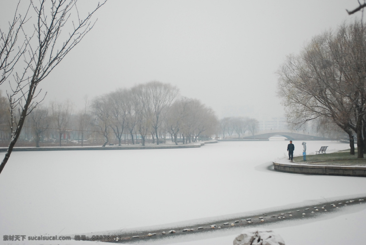 冬雪 凛冽 冬天 美景 镜头中的世界 自然景观 山水风景 灰色