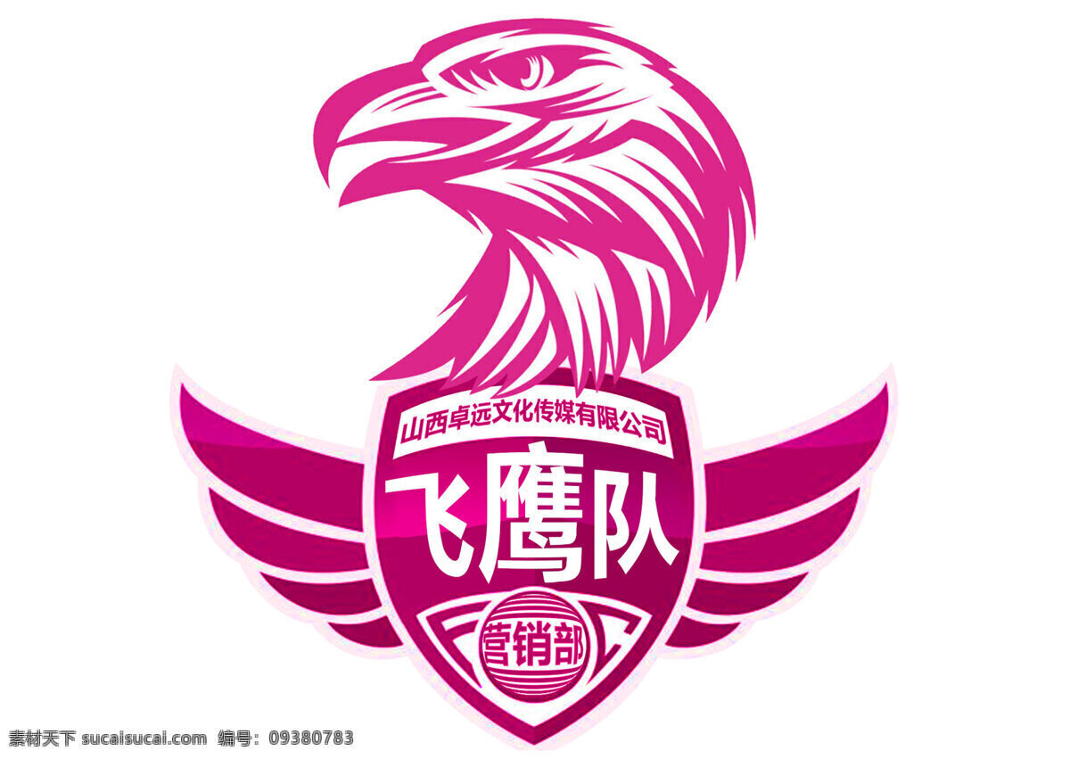 飞鹰队 队徽 小组 飞鹰 鹰 营销组 logo设计