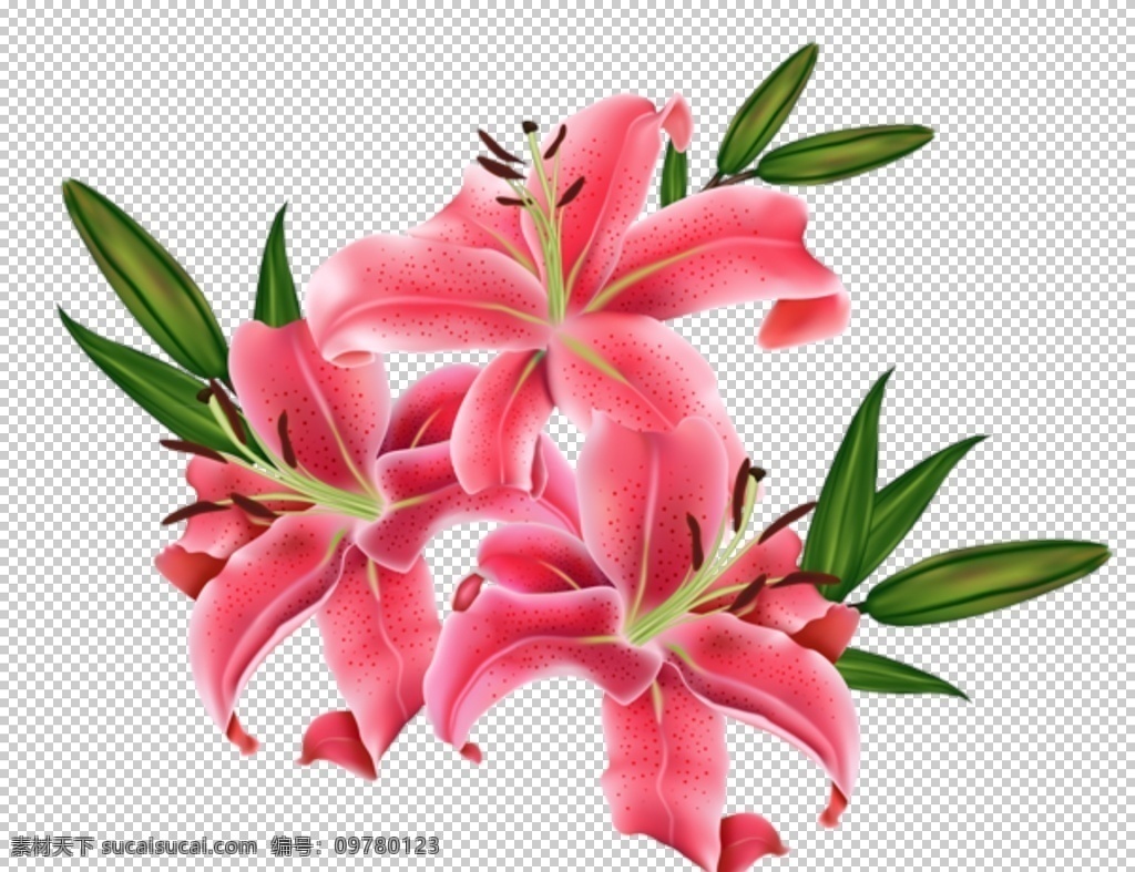百合花 花朵 鲜花 盛开 花瓣 黄色百合花 花蕊 百合花特写 植物花草 艳丽 生物世界 花草 百合花素材 广告设计素材 花类 百合花纹 精美花纹 手绘花朵 花纹 背景 花纹背景 壁纸设计 移门图案 清新花纹 百合墙纸 时尚 装饰 花边花纹 底纹边框 植物