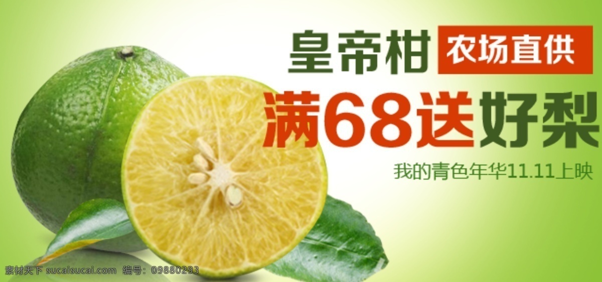 皇帝柑广告 新鲜水果 柑子 水果 生鲜广告 绿叶 切开的水果 淘宝界面设计 淘宝 广告 banner
