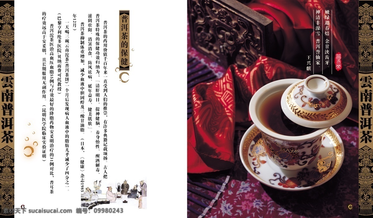 茶叶 包装 模板下载 茶叶包装 普洱茶包装 白色