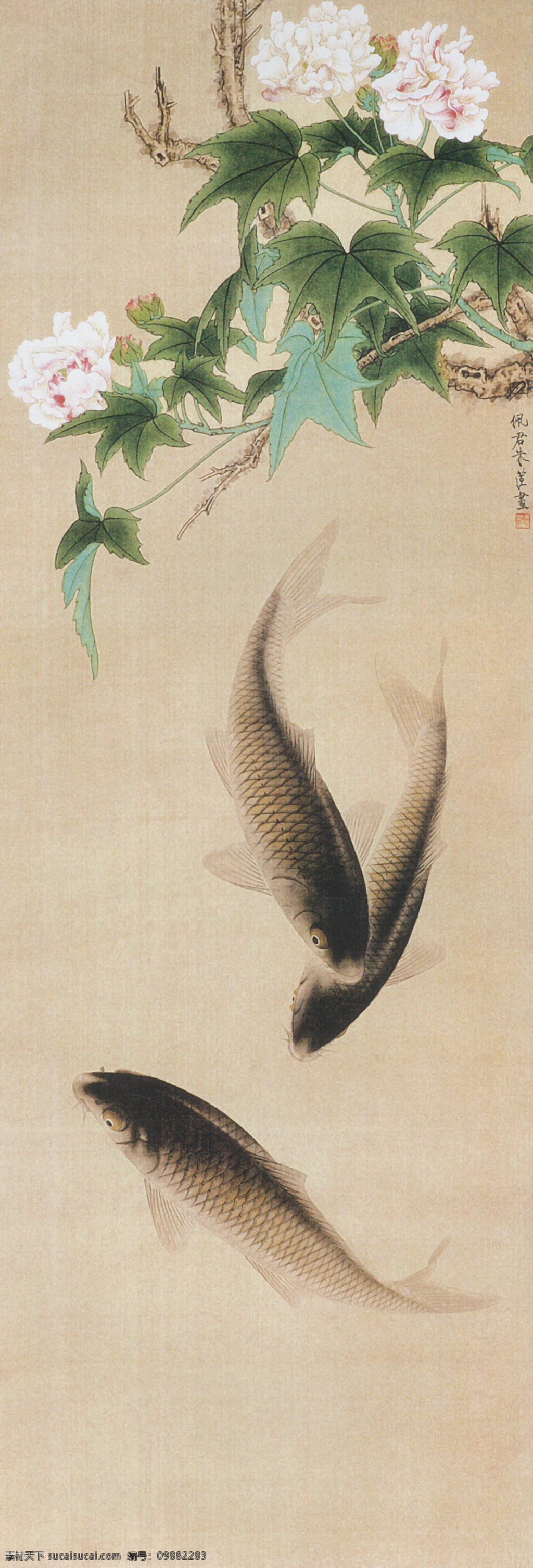 芙蓉鲤鱼图 绘画 国画 芙蓉花 绿叶 池塘 鲤鱼 春天 文化艺术 绘画书法 设计图库