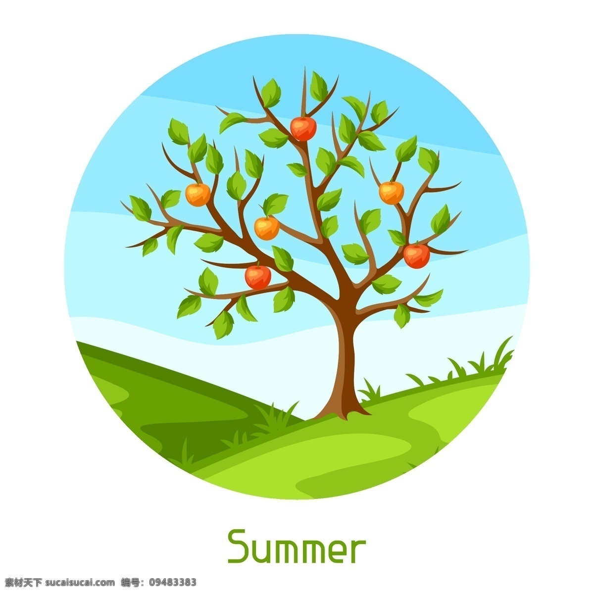 挂 满 苹果 果树 插画 水果 植物 挂满 夏天