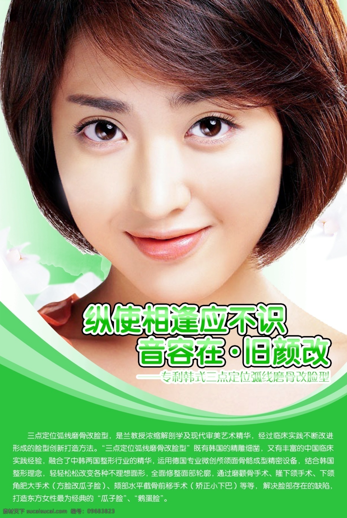 美林 韩式 整形 挂画 美女 整容 psd源文件