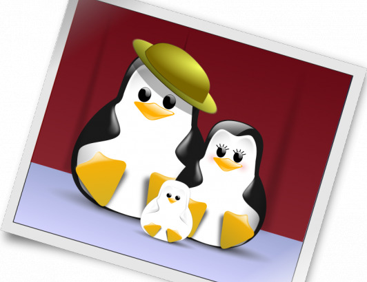 企鹅 家族 照片 矢量 插画 linux 白色 标志 彩色 操作 黑 吉祥物 夹 剪贴画 开放 艺术 可爱 源 系统 宝丽来 快照 软件 svg 晚礼服 unix 矢量图 生物世界