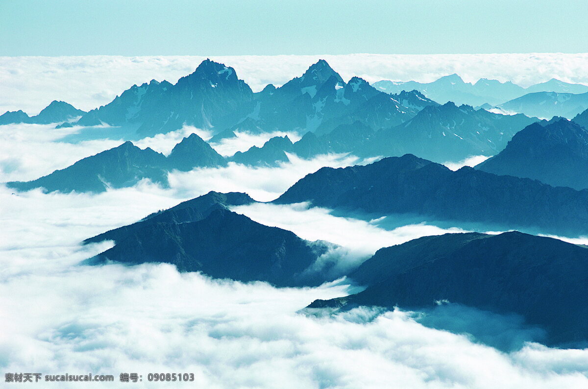 油画 白色
