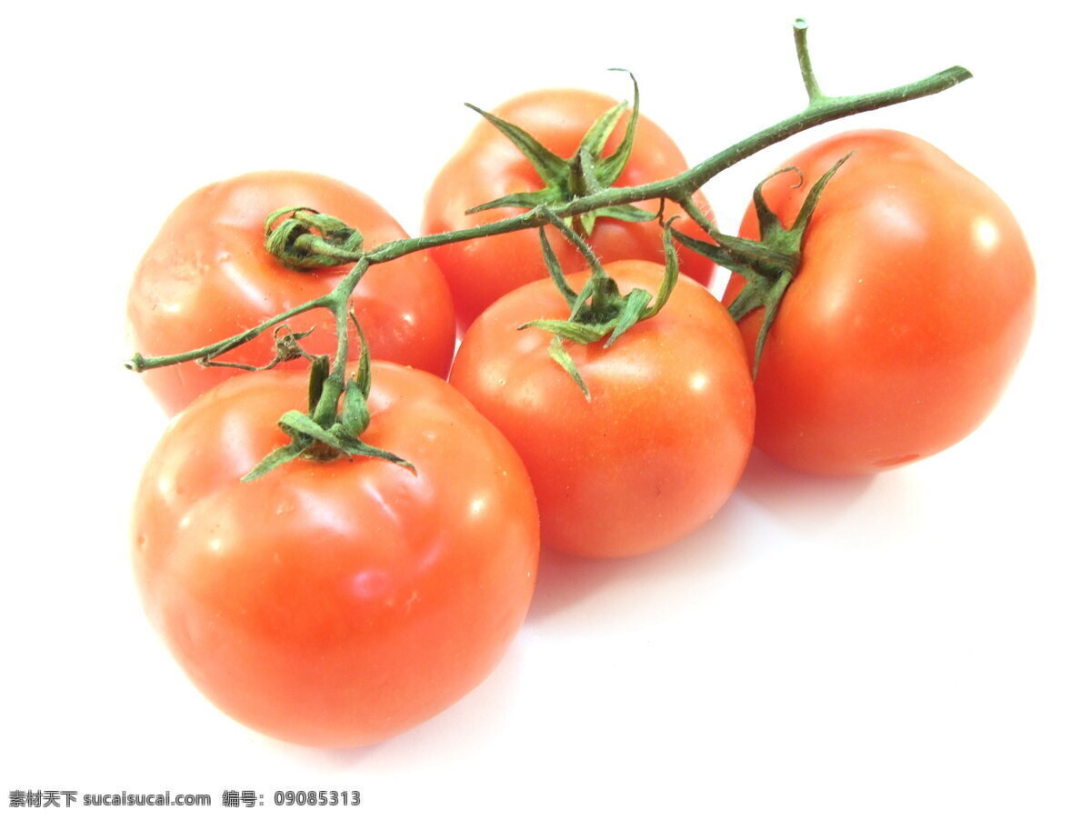 新鲜 小 番茄 高清 红色番茄 西红柿 一串 红色