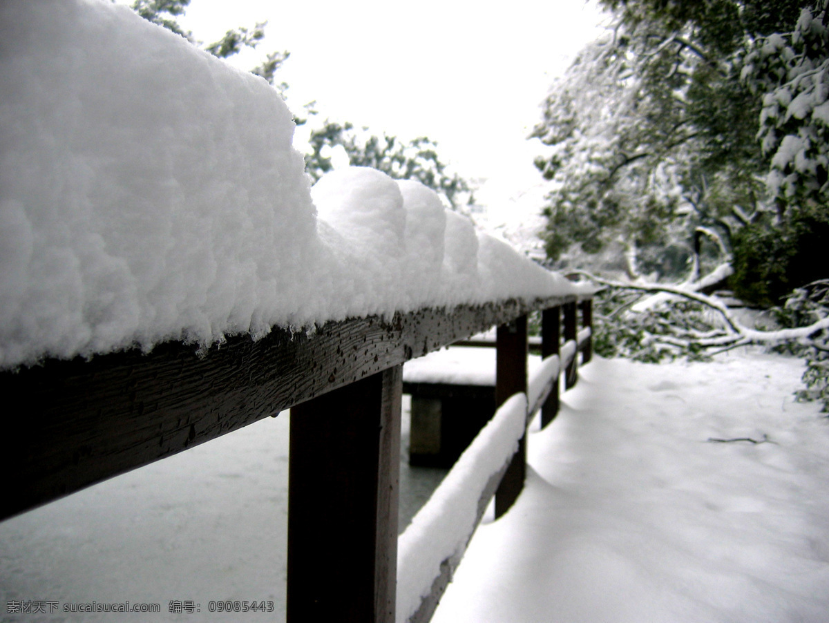 公园 雪景 高清 冬季 雪花 积雪 雪