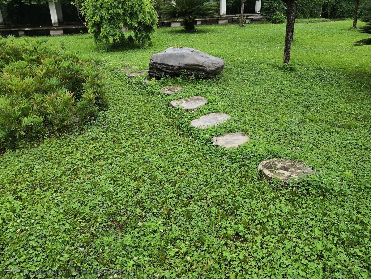 绿 草坪 石子 路 春景 旅游摄影 自然风景