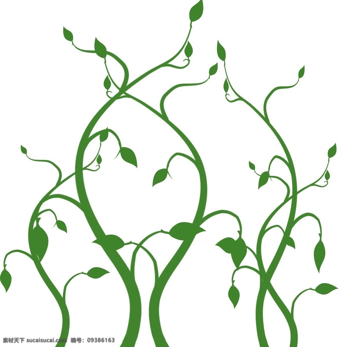 手绘 立体 热带 植物 绿色 树叶 叶子 立体绿色 植物叶子 热带植物