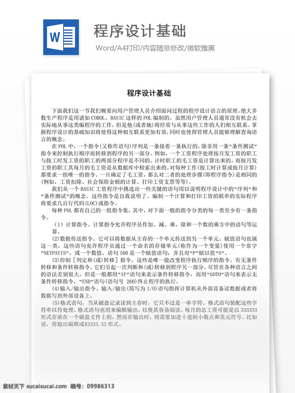 程序设计基础 word 实用文档 文档模板 免费 职场 办公 管理 制度 程序
