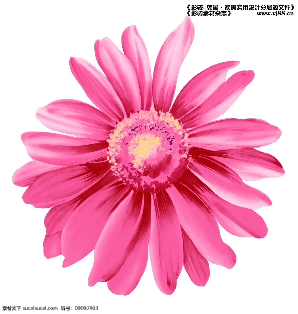 时尚 花纹 分层 模板 瓷器 分层素材 psd0019 设计素材 韩式花纹 底纹背景 psd源文件 白色