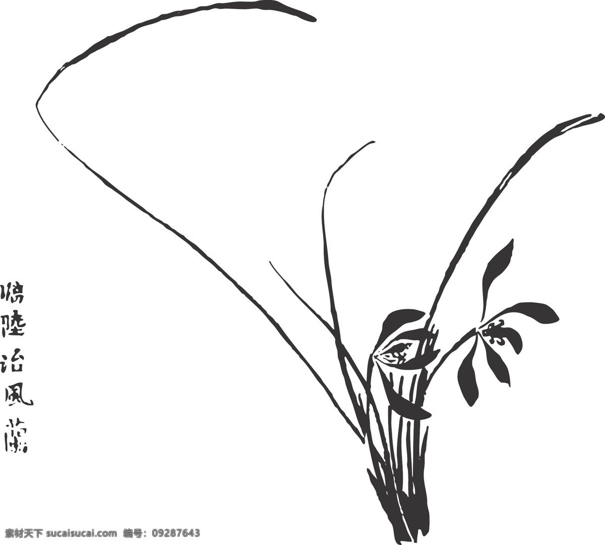 兰花 植物 花卉 观赏 线条 矢量 装饰 插画 白描 质朴文静 淡雅高洁 花卉白描图 生物世界 花草