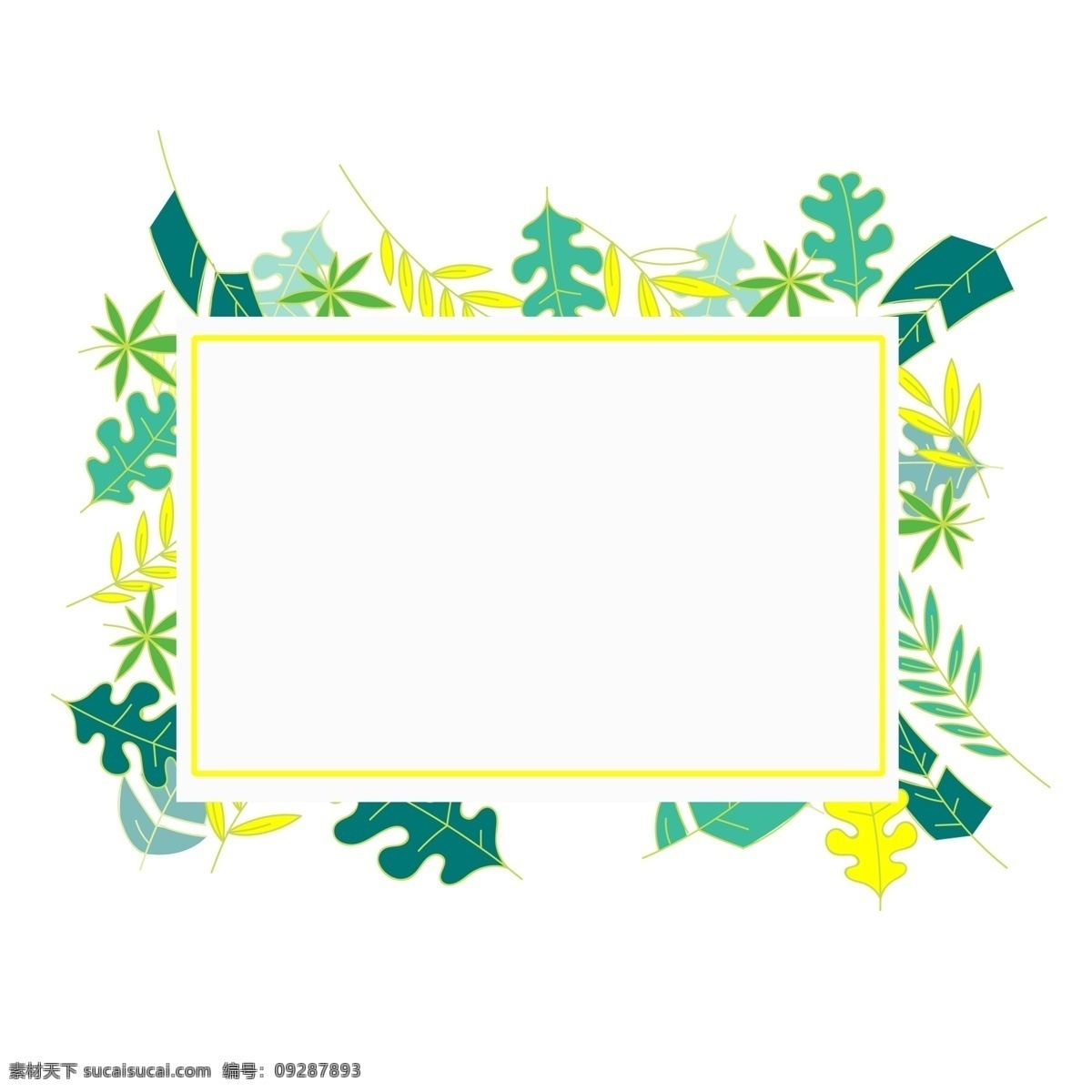 清新 花卉 植物 边框 创意植物边框 装饰 框 图案 手绘植物 花朵 精美花边