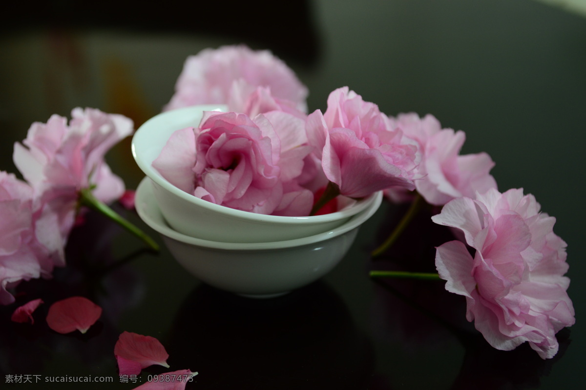 瓷器 花 茶杯 粉红色 黑褐色 白色 文化 休闲 静 安静 传统文化 文化艺术