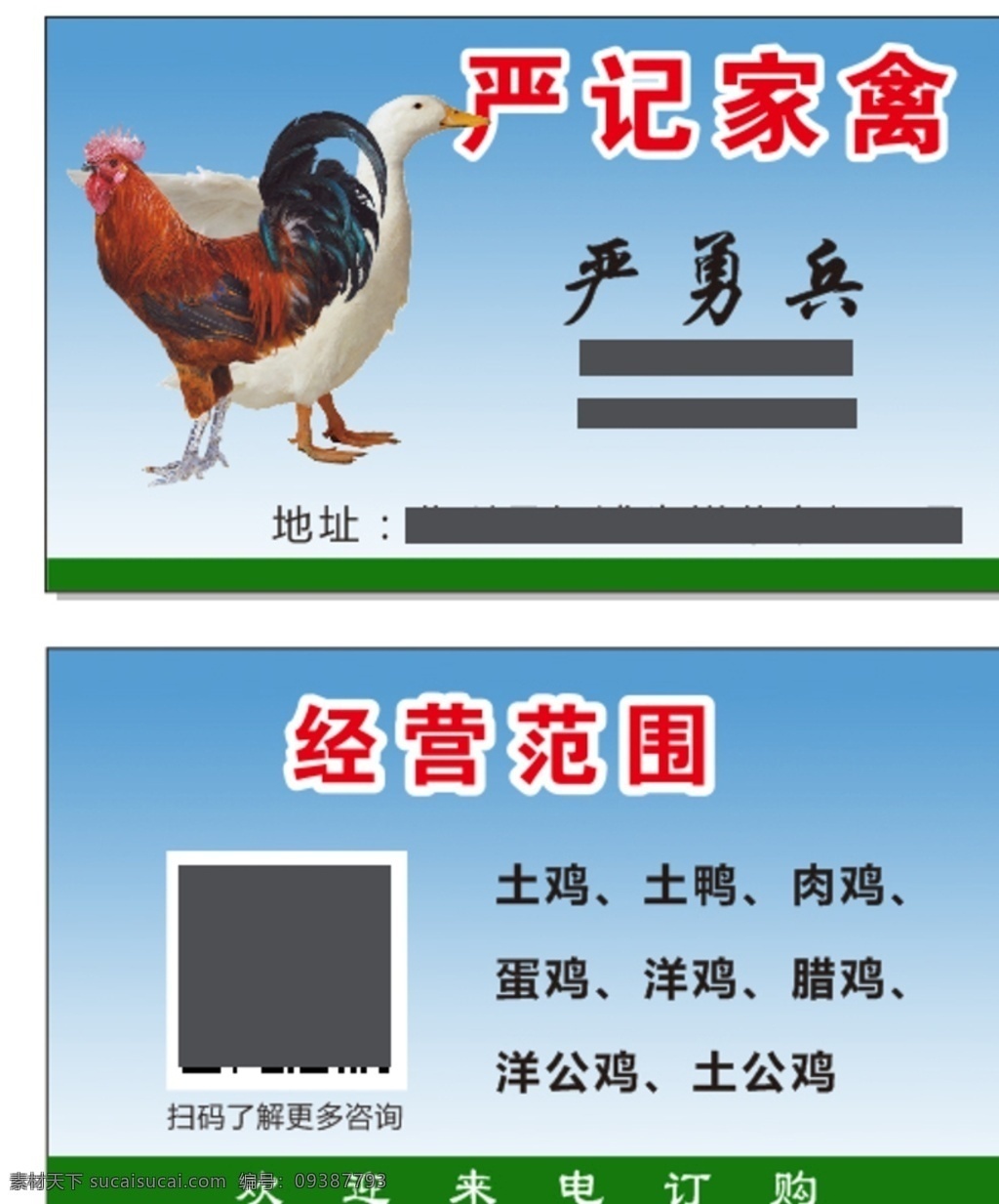 鸡子名片 鸡 鸭 家禽 名片 鸡鸭 名片卡片