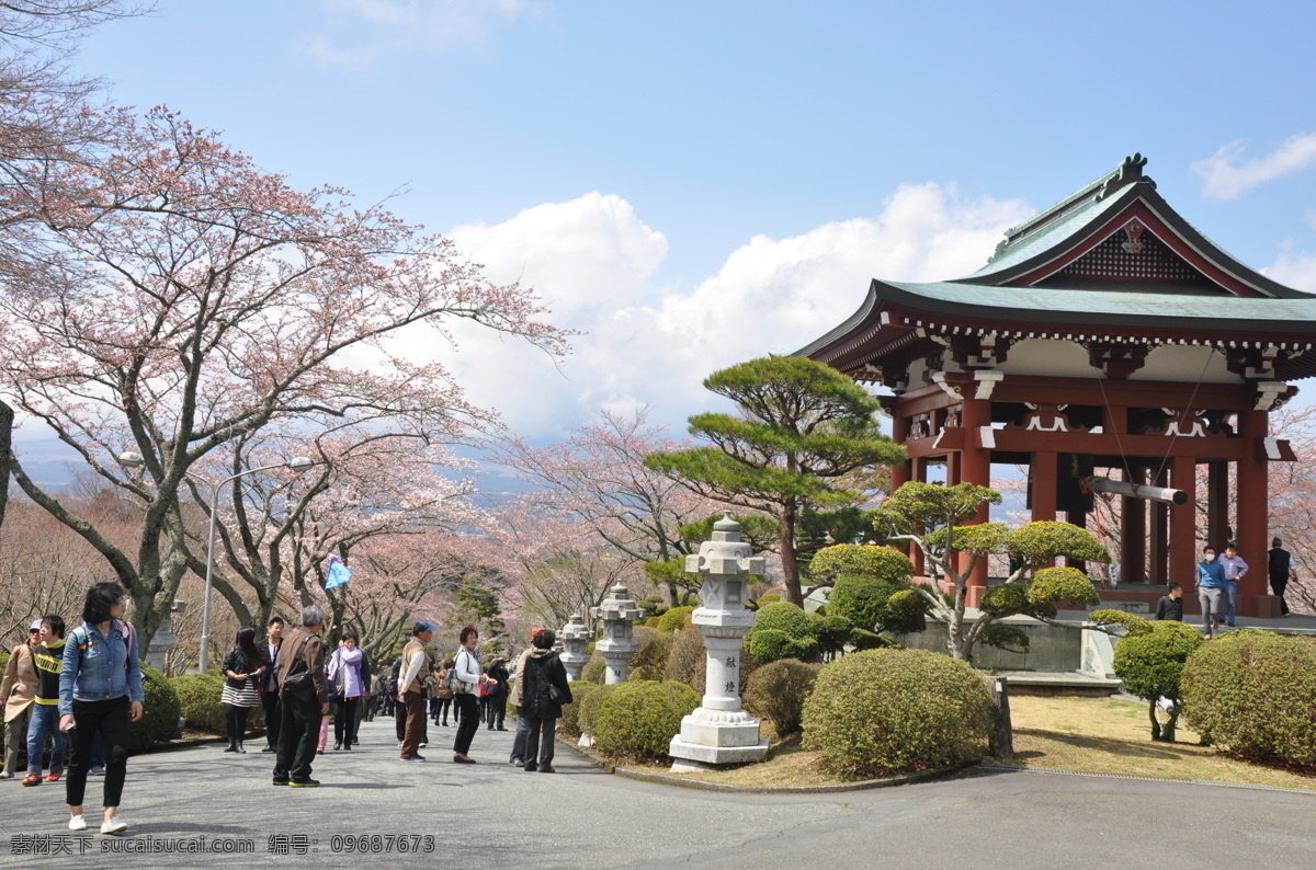 日本 平和 公园 樱花 平和公园 箱根 富士山 自然风光 国外旅游 旅游摄影