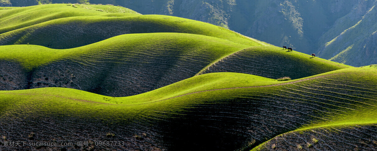 新疆景色 新疆山景 新疆 天山草地 天山景色 山景 自然景观 风景名胜 自然风景