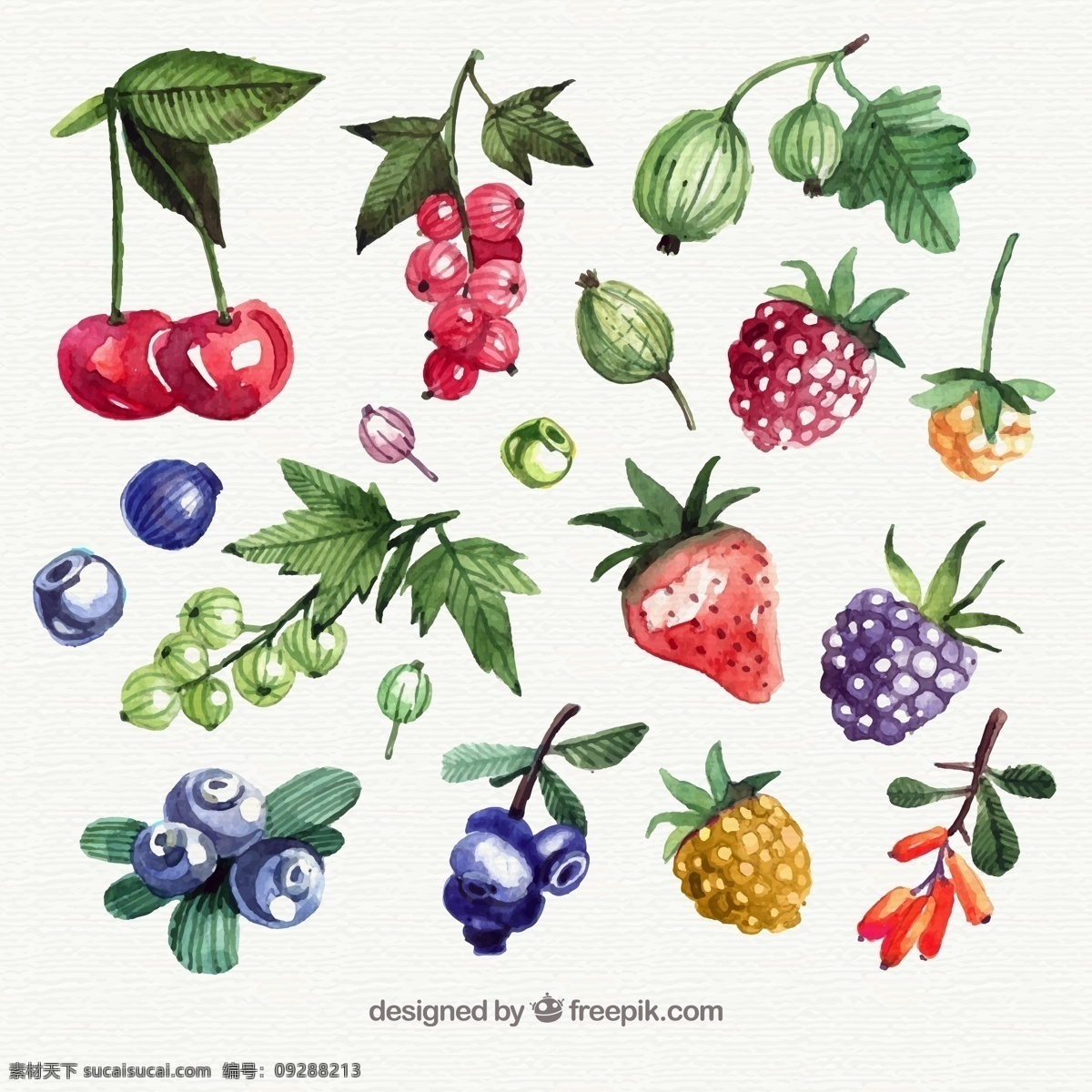 水彩 绘 新鲜 水果 樱桃 蓝莓 树莓 草莓 浆果 矢量 高清图片