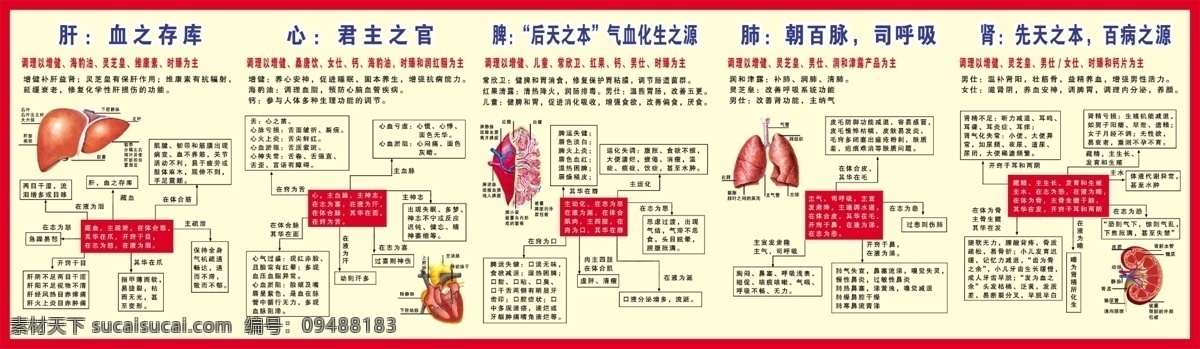 医院 宣传画 肝 心脾 肺 肾 内脏 器官 调养 方法 黄底 健康宣传 心 医院宣传 医院宣传单 内脏器官 脾 医院宣传模板 医风 展板模板 源文件 宣传海报 宣传单 彩页 dm