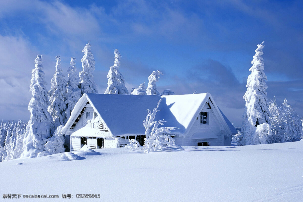雪海 中 小屋 小雪松 背景图片