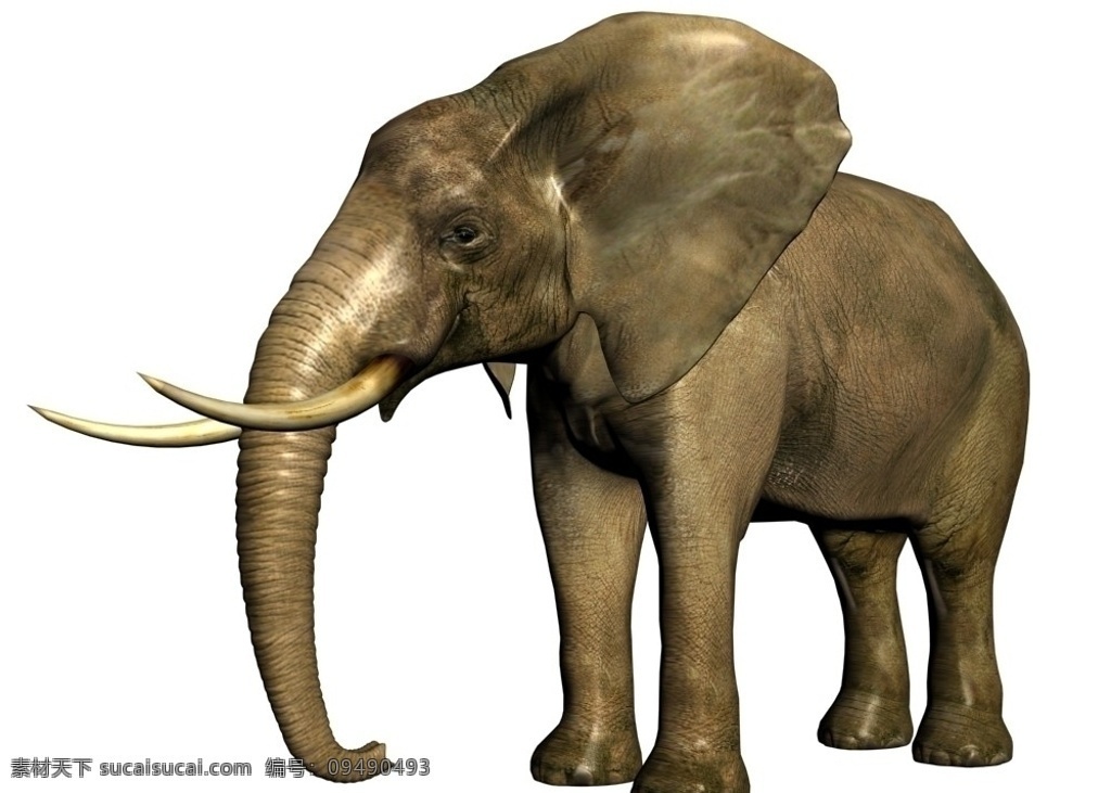 大象 3d模型 动物 3d 高精度 贴图 逼真 模型 3ds max 源文件 吉祥 节日 作品 其他模型 3d设计模型