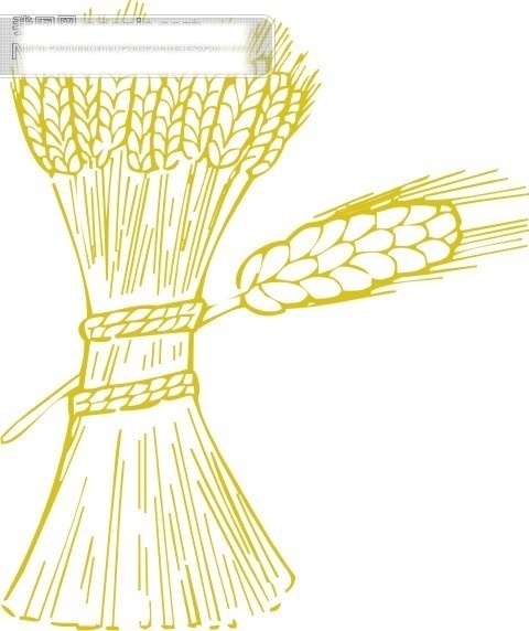 蔬菜 卡通 图 卡通图 麦 生物 世界 矢量 矢量图 蔬菜矢量图 其他矢量图