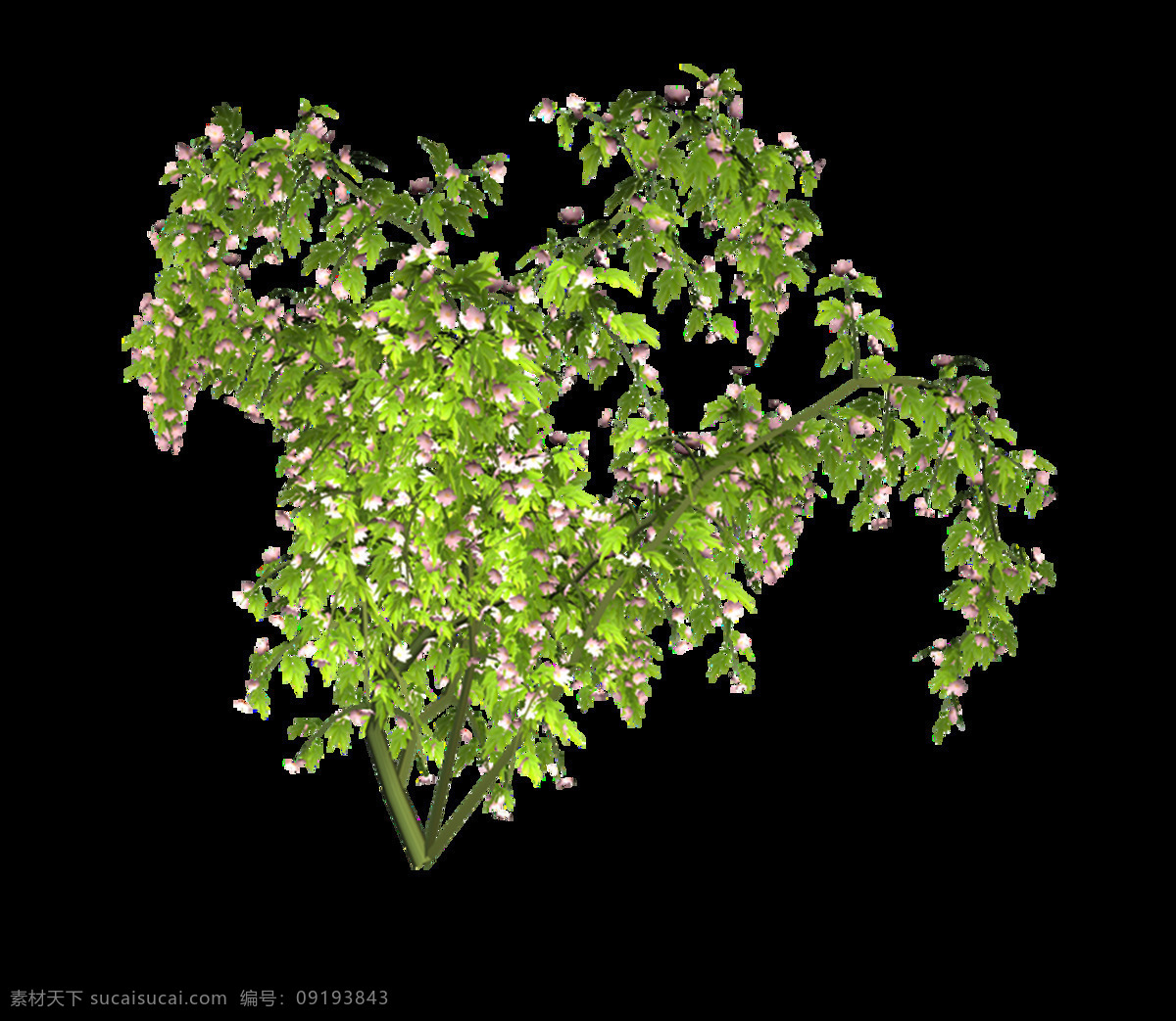 卡通 绿色植物 插画 元素 png元素 海报 绿色 免抠元素 清新 树木 透明元素