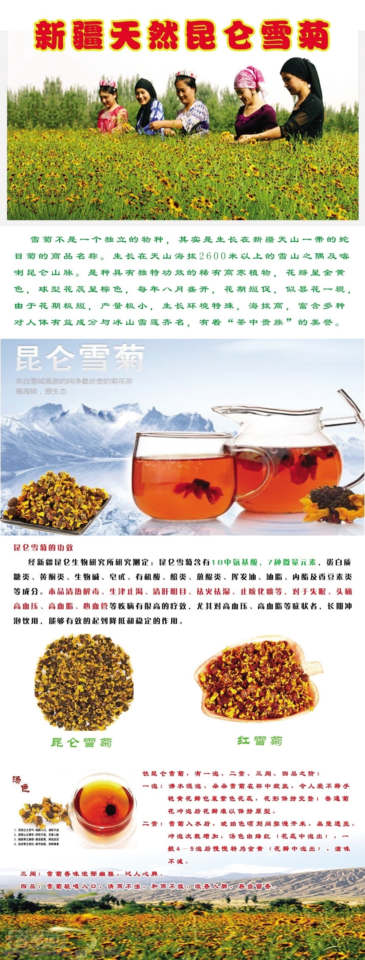 新疆雪菊展架 雪菊x展架 凉茶 雪菊 新疆雪菊 新疆昆仑雪菊 红雪菊 分层
