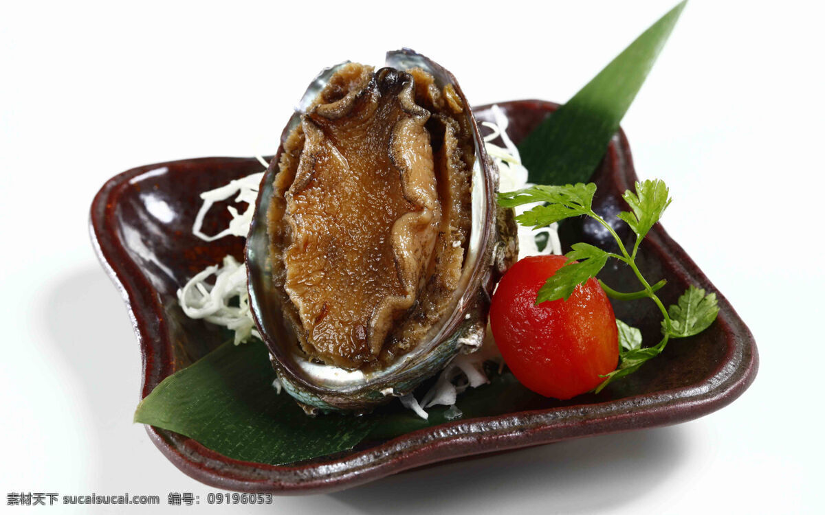 美味鲍鱼 海鲜 冰镇海鲜 海鱼 海虾 鱼块 煎鱼 寿司海鲜 毛蟹 海蟹 章鱼 鱼子酱 金枪鱼 海产品 秋刀鱼 美食 生蚝 河虾 河蟹 鲍鱼 餐饮美食